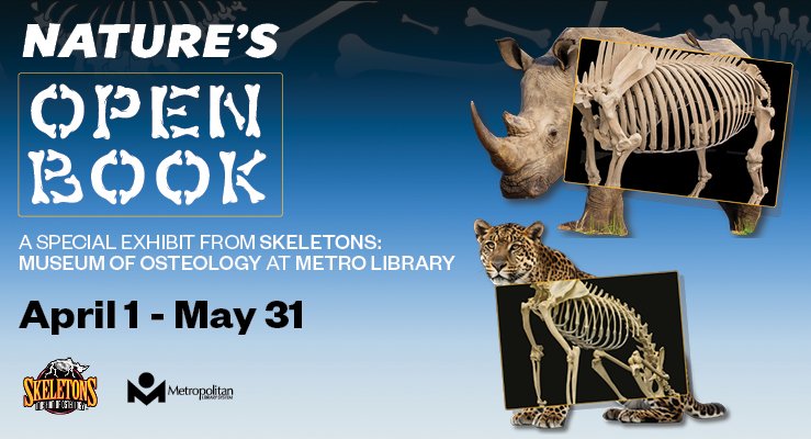 Promotion for Nature's Open Book exhibit featuring Rhino and jaguar skeletons, running April 1 to May 31 at Metro Library.
